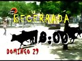 Festejos en Benimamet