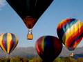 videos de Wild Balloons