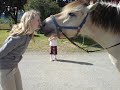Blakken og Sara Blakken og Sara