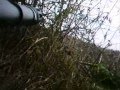 videos de Airsoft brie comte robert Blackdeath