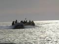 Wetterndykarna diving with Blue Service Alghero