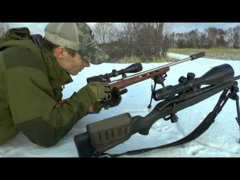 Shooting a moderated/suppressed Savage 93R17 BTVS .17 HMR