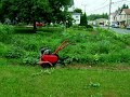 garden time lapse