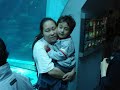 Amor De Mãe Amor De Mãe