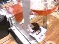 tracy mcgrady one of the best dunks ever