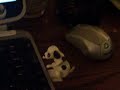 Humping Dog USB Gadget