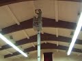 FSHA Egg Drop 3