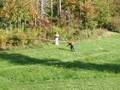 kids in yard