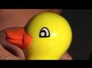 Ceus HTX Viral Video
