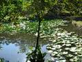 videos de CIMG0923.AVI