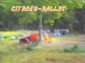 muchos accidentes en carreras de autos rally - videos y diversion