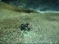 videos de Crysis boom de yada