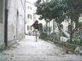tuz91 freestyle