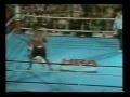 Mike Tyson Career Highlites