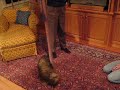 Gus Discovers a Scarf