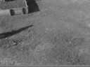 Kiwi Parkour (Hamilton, Mount Maunganui)