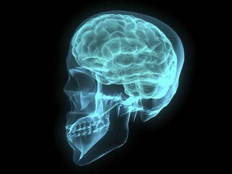 Preventing Alzheimer's and Aging