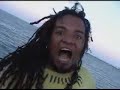 V�deo Clip Vigna Vulgaris - A�aizeiro Popular