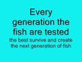 genetic algorithm fish