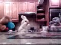 Mr. Bunny\