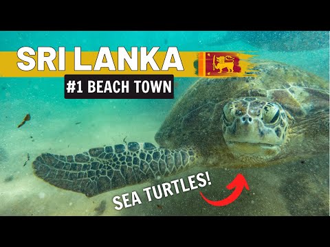 Why Hikkaduwa is our Favourite Beach Town in Sri Lanka!
