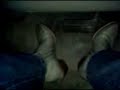 Gray Dingo Dress Boots