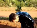Meu Primeiro Pouso Solo 