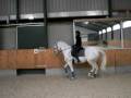 Piaff dressage Nirwana