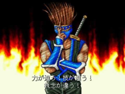 動画