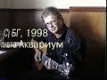 Аквариум Блюз свиньи в ушах