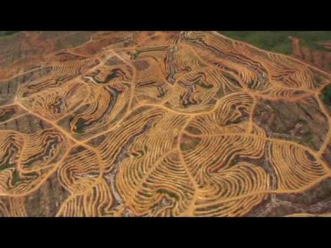 HOME - L\'écologie