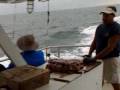 videos de Deep Sea Fishing Trip, Port Aransas, TX, clip 3