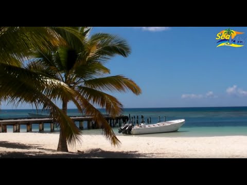 Saona - Ausflüge in der Dominikanischen Republik schon vorab online buchen: http://www.dominikanische-republik24.de Ökoabenteuer: Ausflug auf die Trauminsel Saona an...
