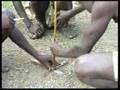Hadzabe-Bushmen-Maki
