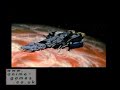 Macross Do You Remember Love? Phase 3 Sega Saturn Macross Do You Remember Love? Phase 3 Sega Saturn