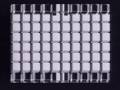 Strings and Vectors Strings and Vectors