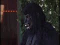 Gorilla in the Big Brother 10 House