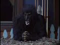Gorilla in the Big Brother 10 House
