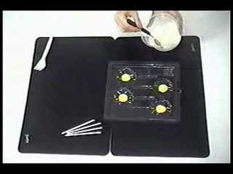 curso de chocolate - Receta básica para la elaboración de Paletas de Chocolate.