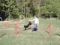 Flagility - FCR Giaco tries Agility