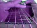 Wheres-Ma-Baby-Gone