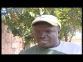 City Stars survive relegation 