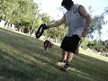 ORKAN (APBT) toreando