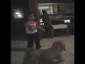 arianna-dancing-regg