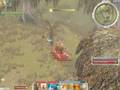 Farm Solo G/M