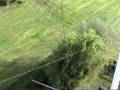 videos de Short wave antenna windom type 1 til 6  PAARDENKRACHT  okt-2008