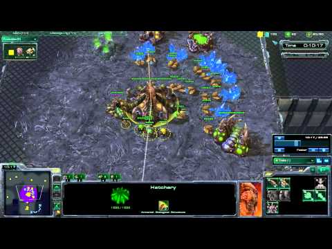 starcraft 2 zerg starcraft 2 zerg