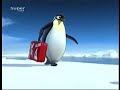 Pigloo - Papa Pinguin (top qualität) Pigloo - Papa Pinguin (top qualität)