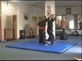 Reverse Wrist Side Flying Throw