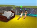 sims 2 really weird and spaztic woohoo